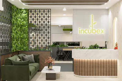 Incubex HSR18