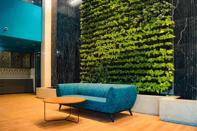 Novel Office - Bangalore