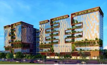 Whole-floor lease