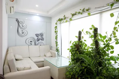 Private Cabins - 5 seater