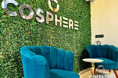 Cosphere Spaces