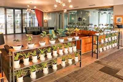 SpringHouse - furnished office space in DLF Phase 2, Golf Course Road Gurgaon, Gurgaon