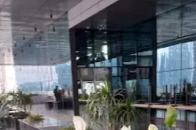 T-Hub