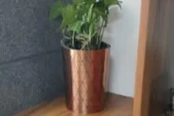 Ecospace Coworking
