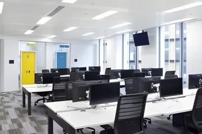 Enzyme Office Space