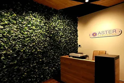 Aster-Shivaji Nagar