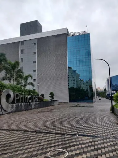 Magarpatta Cyber City - Tower 16, Principal