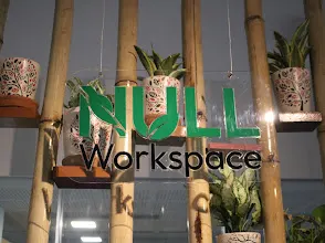 Null Workspace