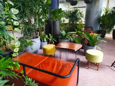 BizzHub Esquire in Whitefield