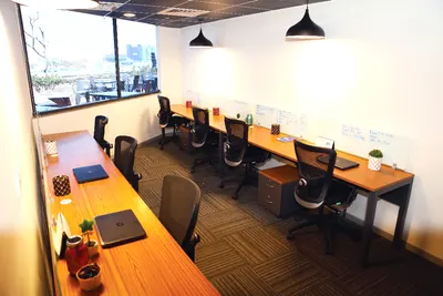 Indiqube Lexington