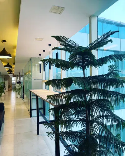 Cospaces Cowork in Sector 44
