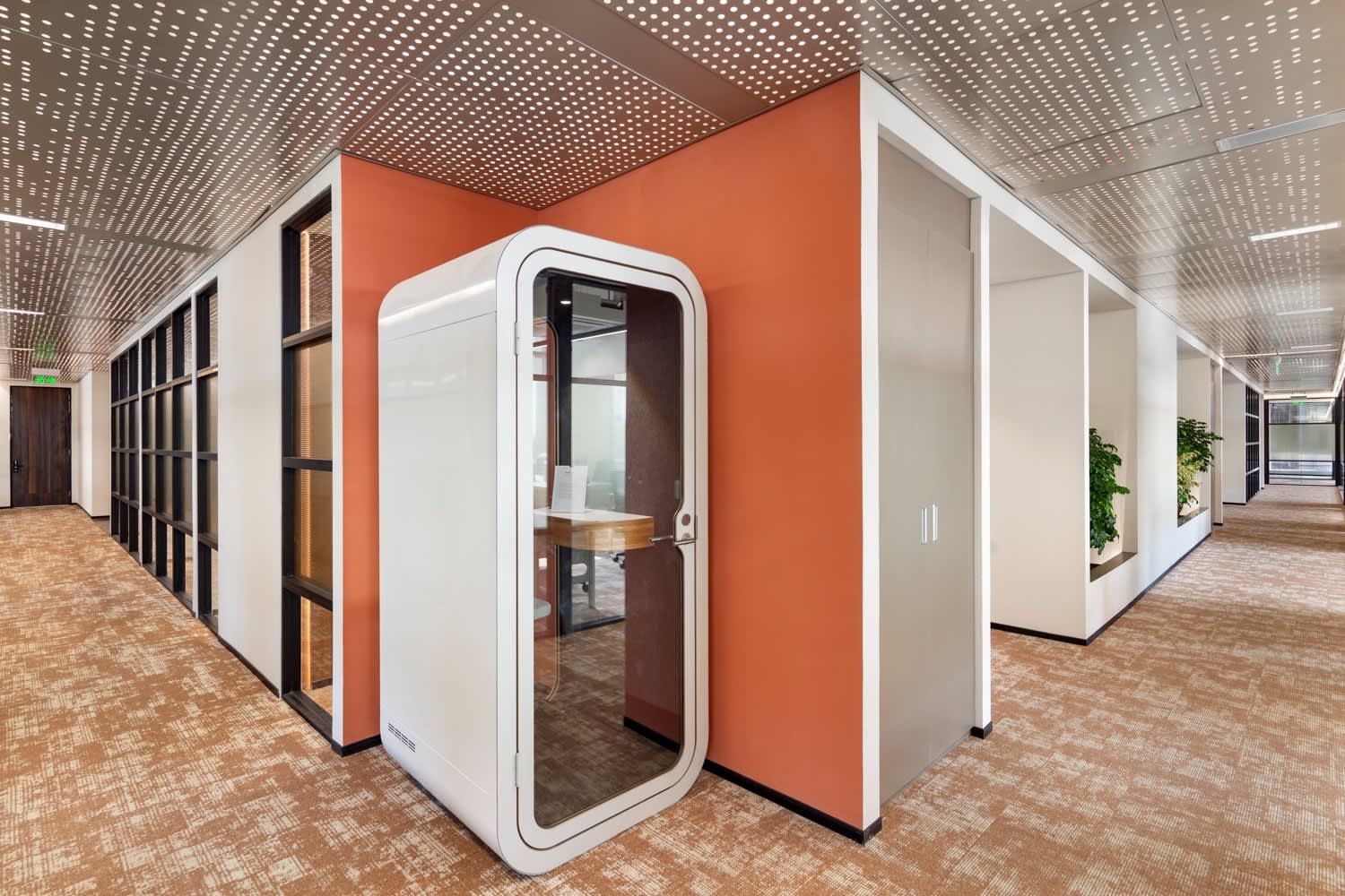 Private Offices - 10 seater