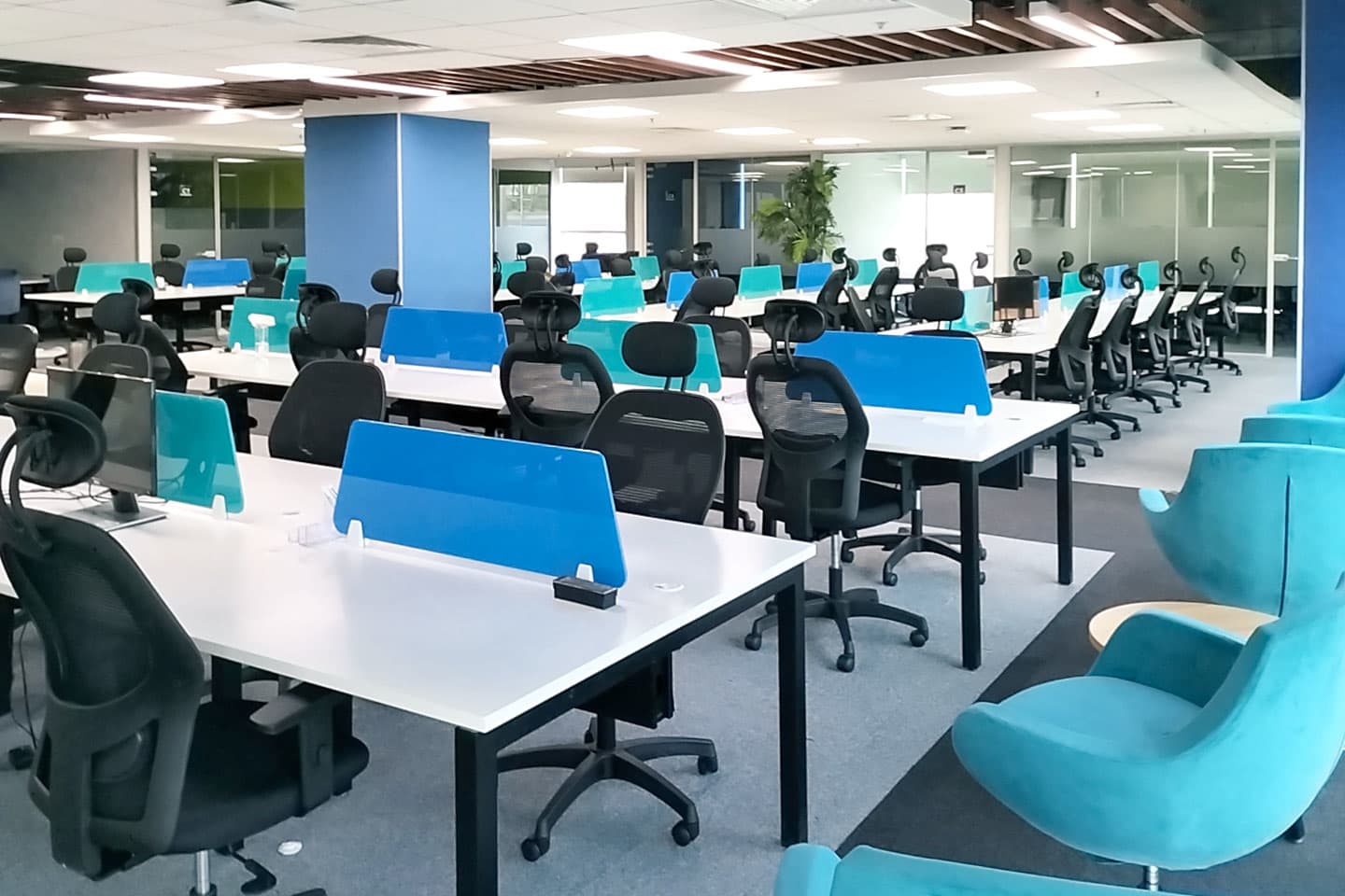 Enzyme Office Space CF workspace