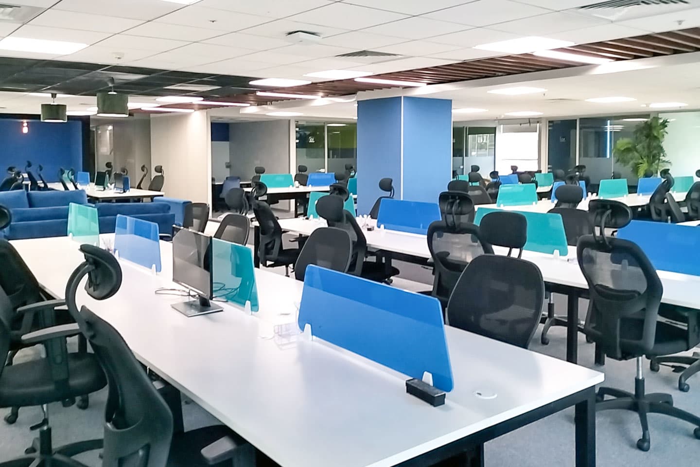 Enzyme Office Space CF interior