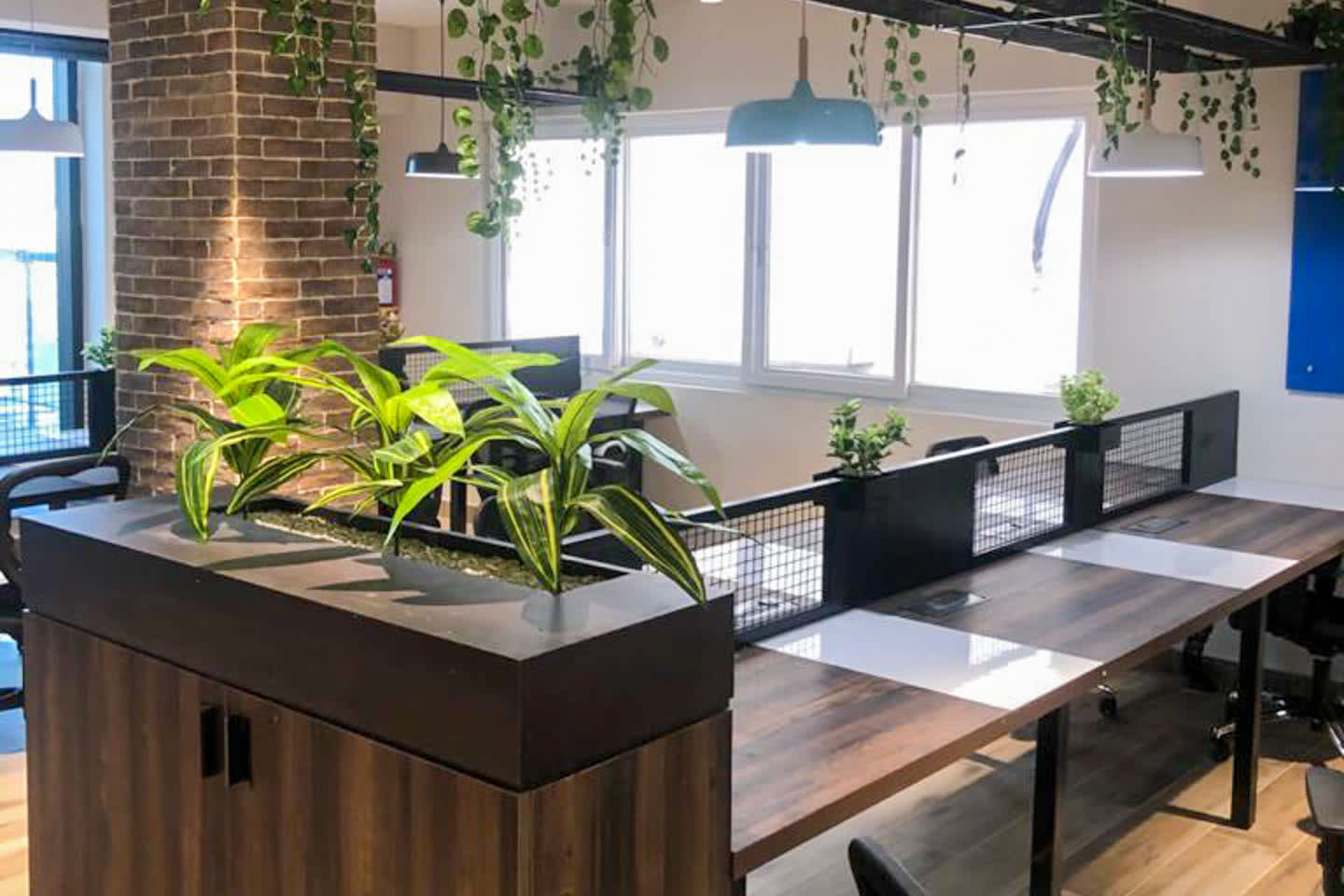 Incubex HSR23 space