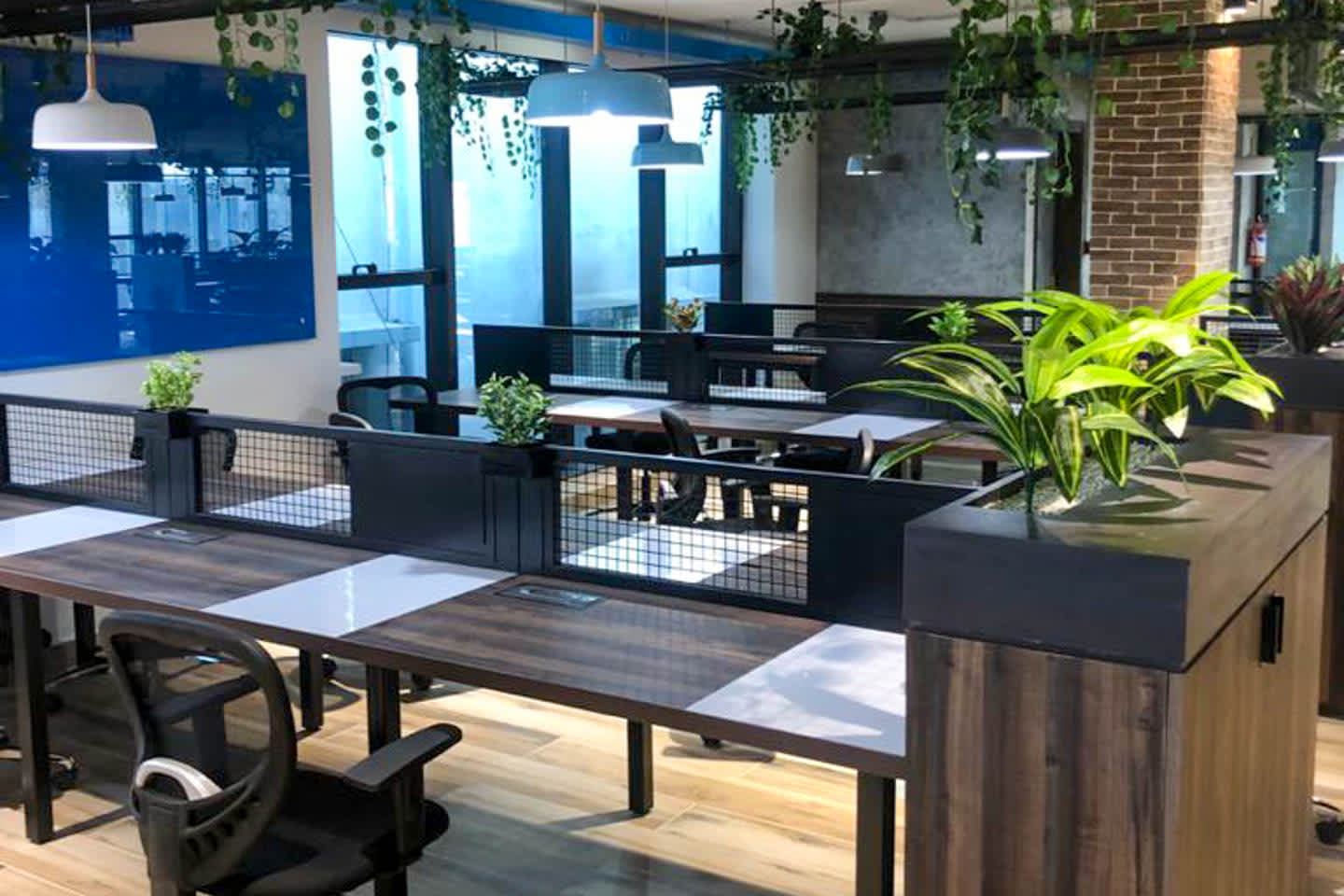 Incubex HSR23 workspace