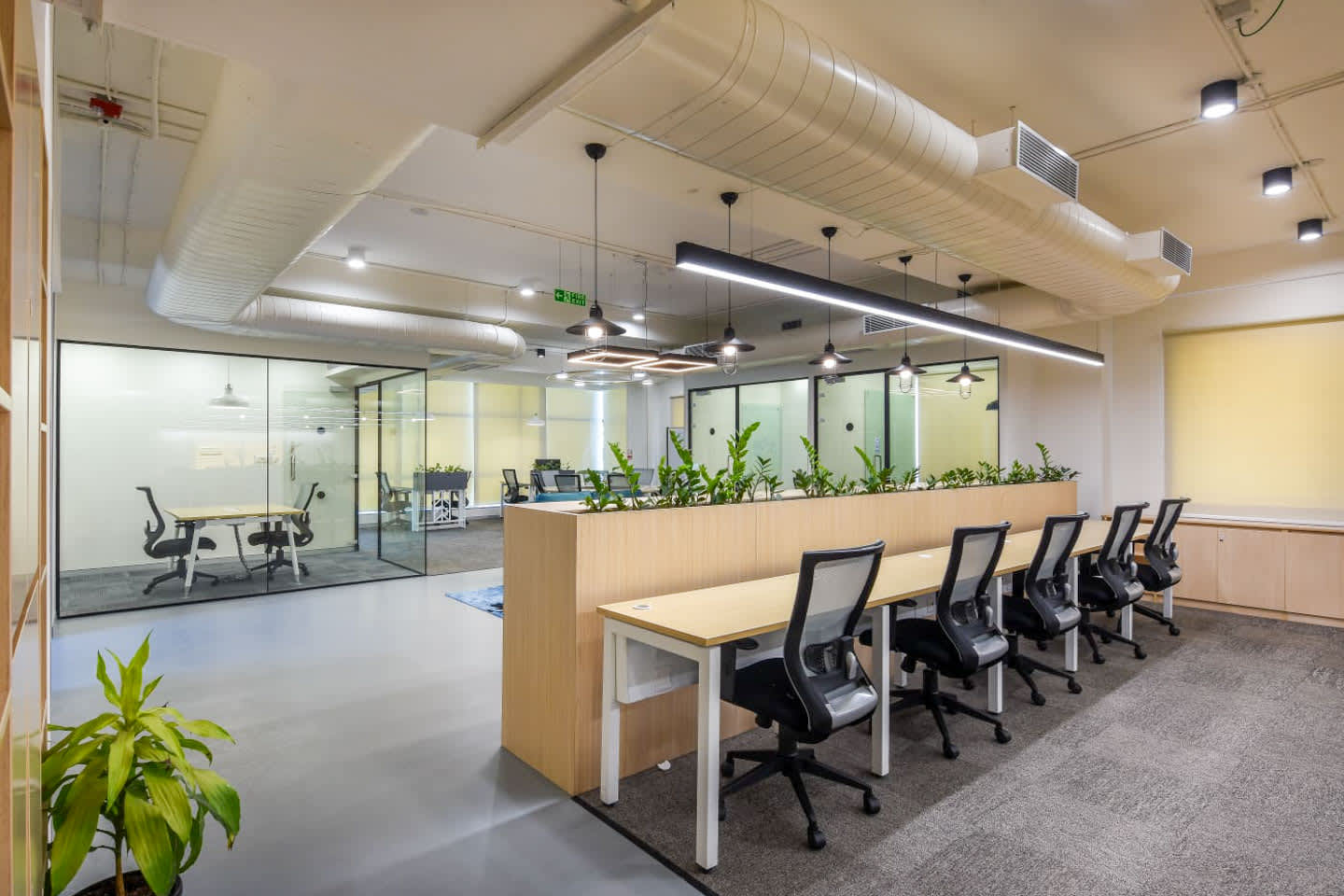 Incubex HSR4 space