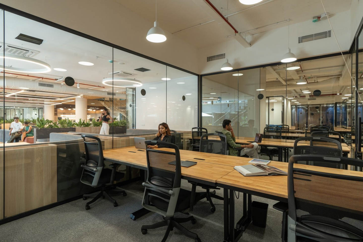 Moss by IBC Diamond District interior