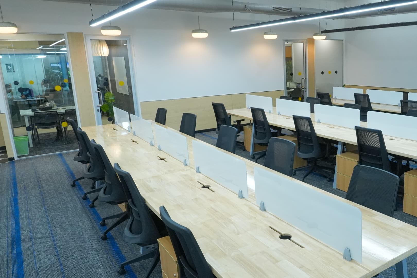 Private Offices - 10 seater