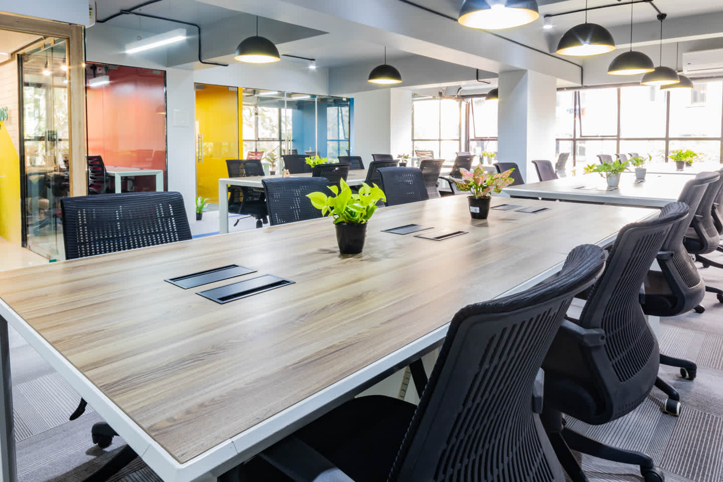 Private Offices - 10 seater